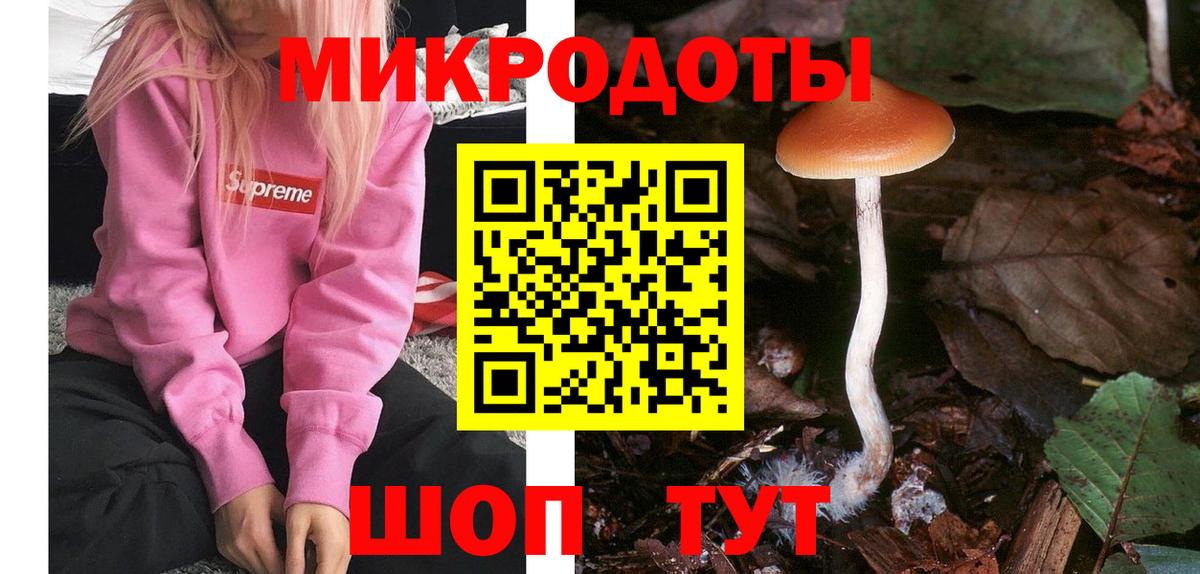 Галлюциногенные грибы MAGIC MUSHROOMS  Вход с VPN  Тольятти 